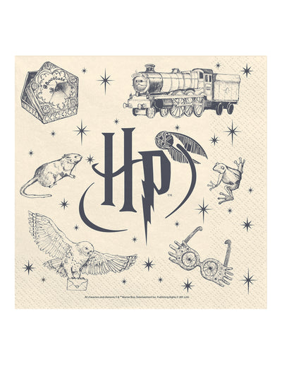 20 Salveta Harry Potter™ 33 x 33 cm