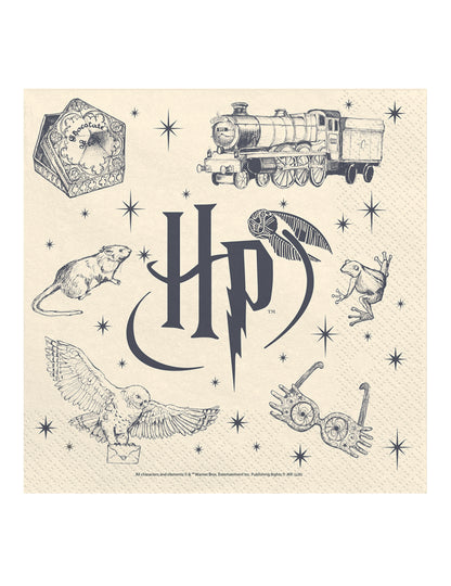 20 Serviettes Harry Potter™ 33 x 33 cm