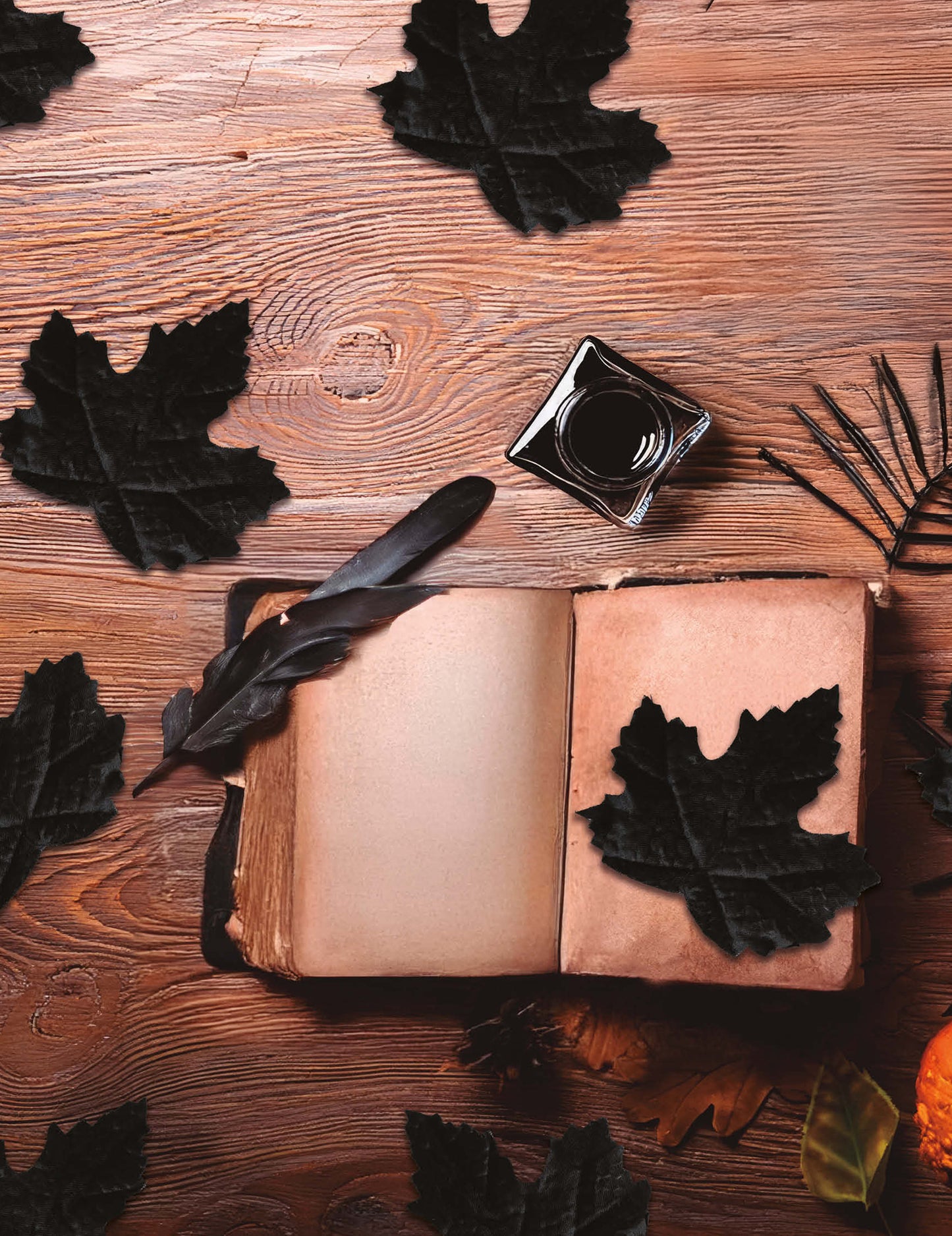 24 crna lišća 10 cm