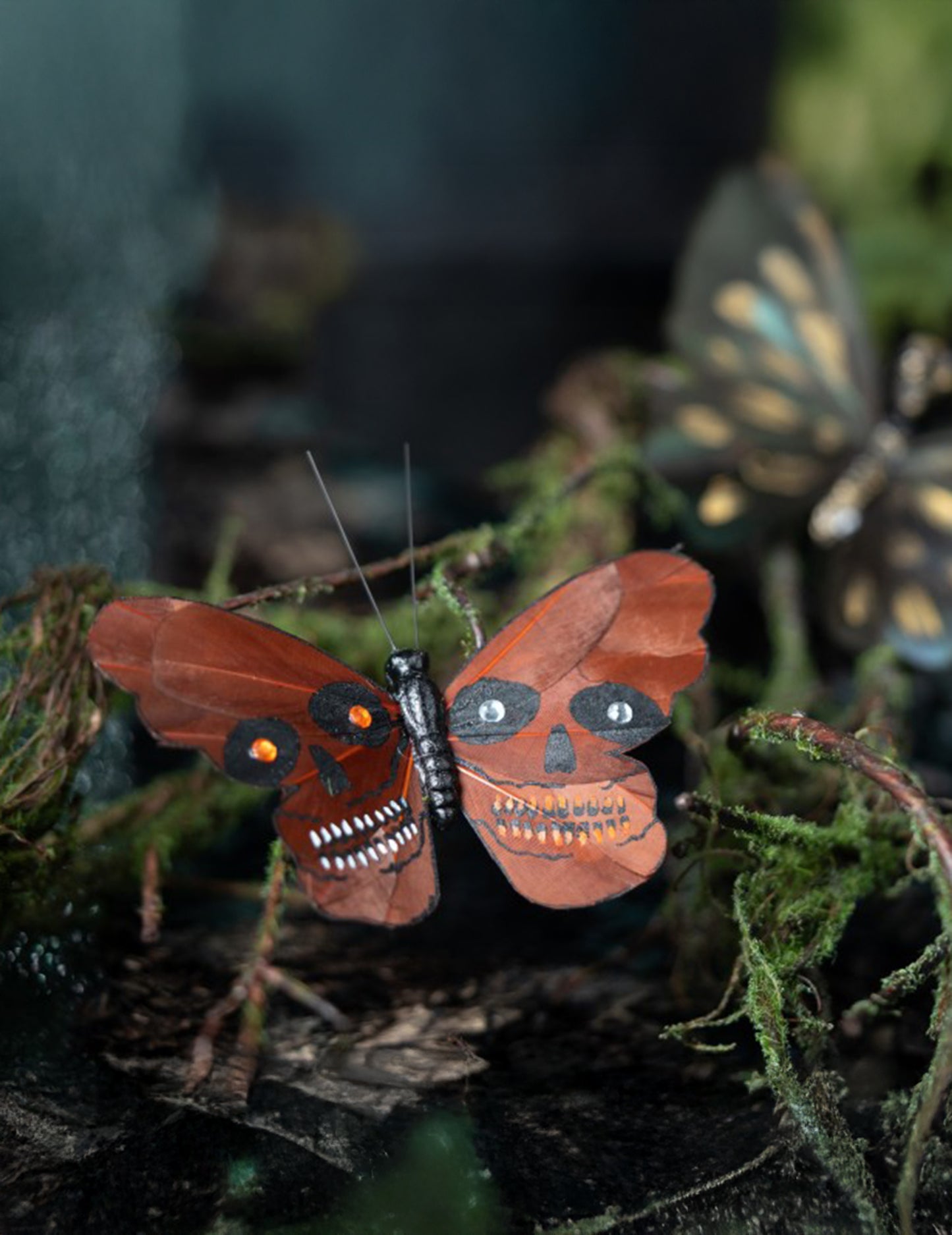 Mise en situation dans un décor de mousse du papillon tête de mort pour décoration