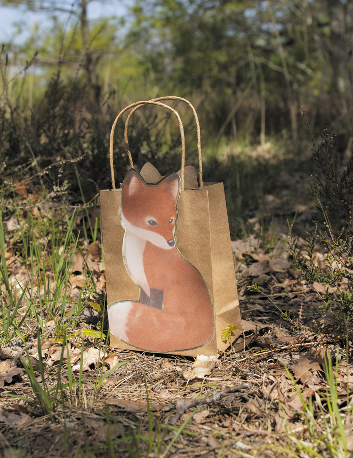 Mise en ambiance forestière du sac cadeau woodland renard