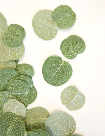 40 konfeta od listova eukaliptusa, 2,5 do 3 cm prirodna tkanina za vjenčanje