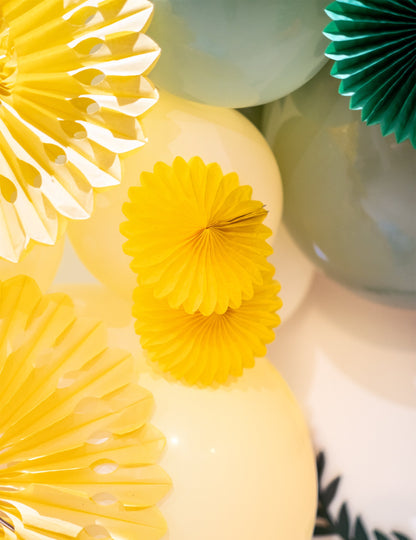 5 mini višebojnih rozeta 15 cm