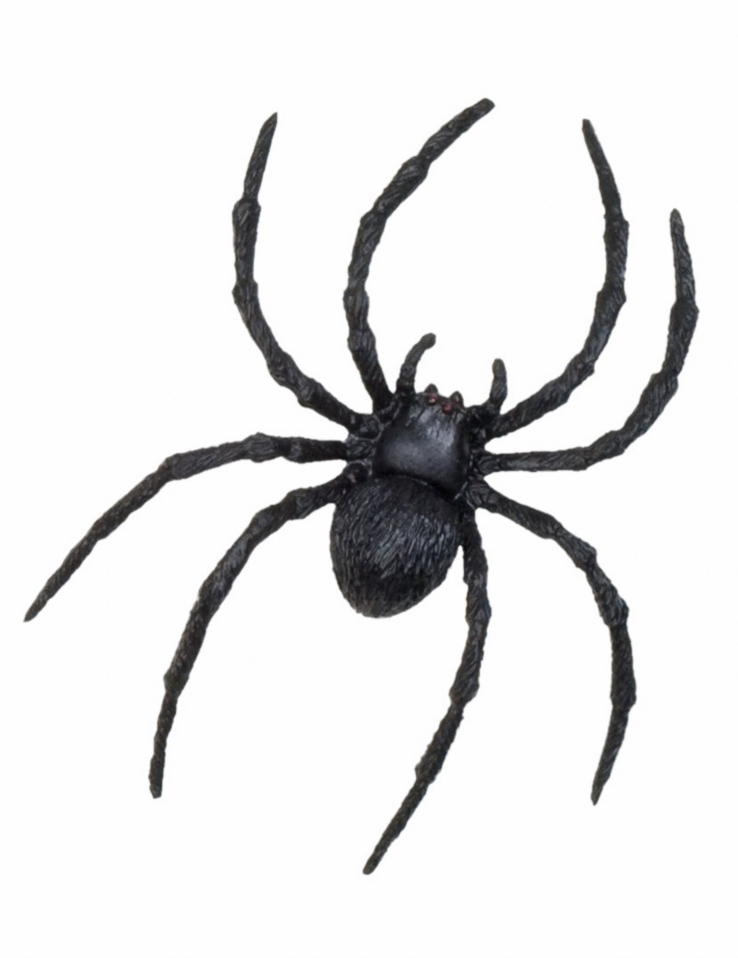 Détail de l'araignée des décorations petites créatures Halloween