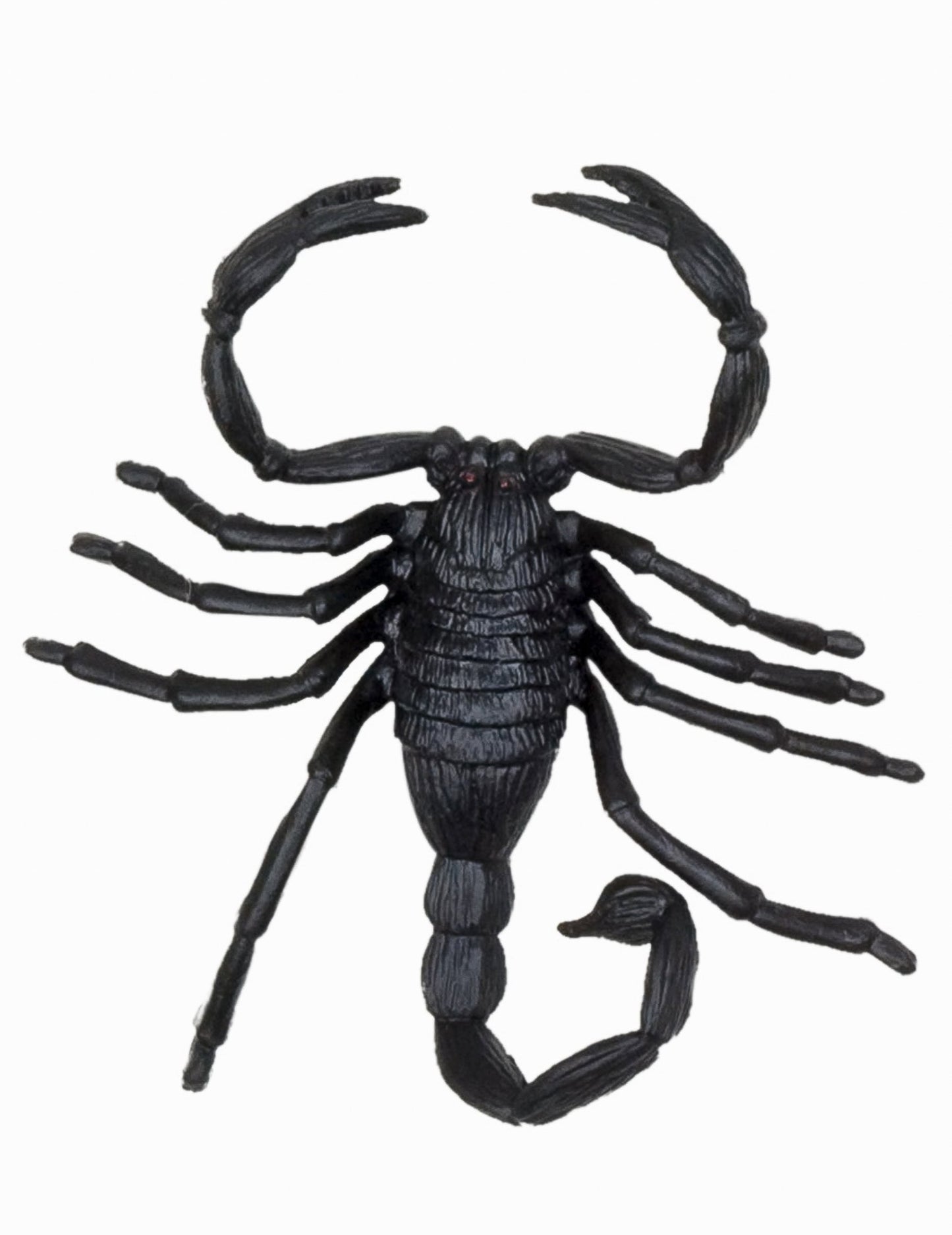 Détail du scorpion des décorations petites créatures Halloween