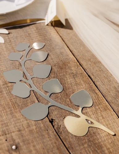 Gros plan sur la feuille dorée des feuilles fougères et eucalyptus pour décoration