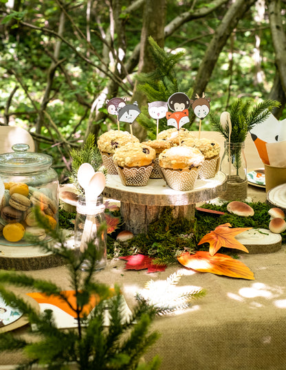 6 moules à cupcake en kraft et pics en bois animaux forêt