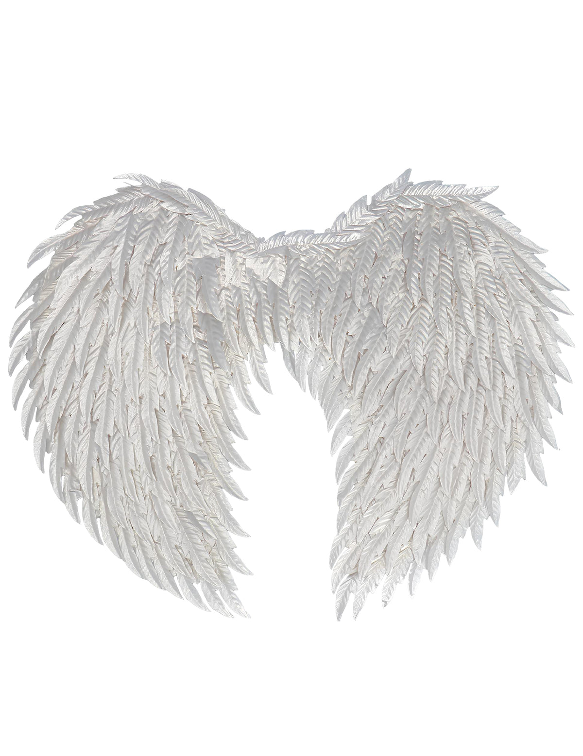 Vue de dos des ailes d'ange glamour