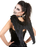 Halloween Ailes Noir