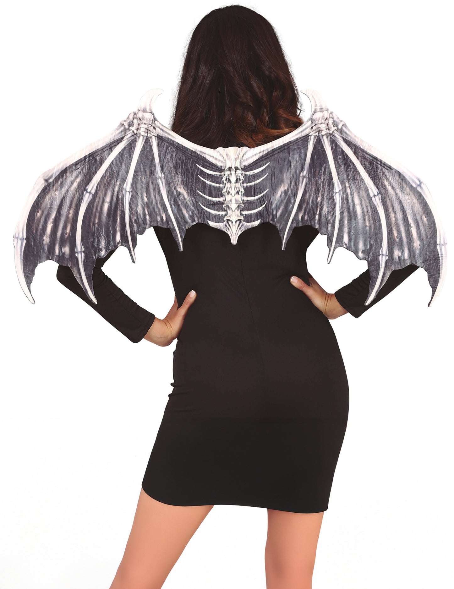 Krila kostura odraslog šišmiša