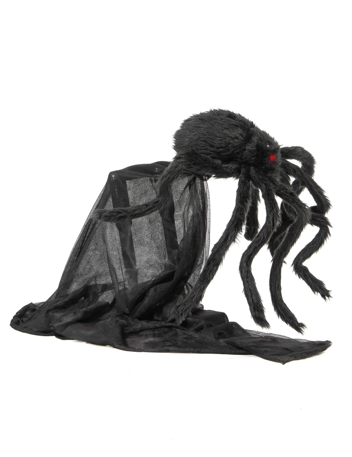 Vue de profil de l'araignée animée sauteuse d'Halloween