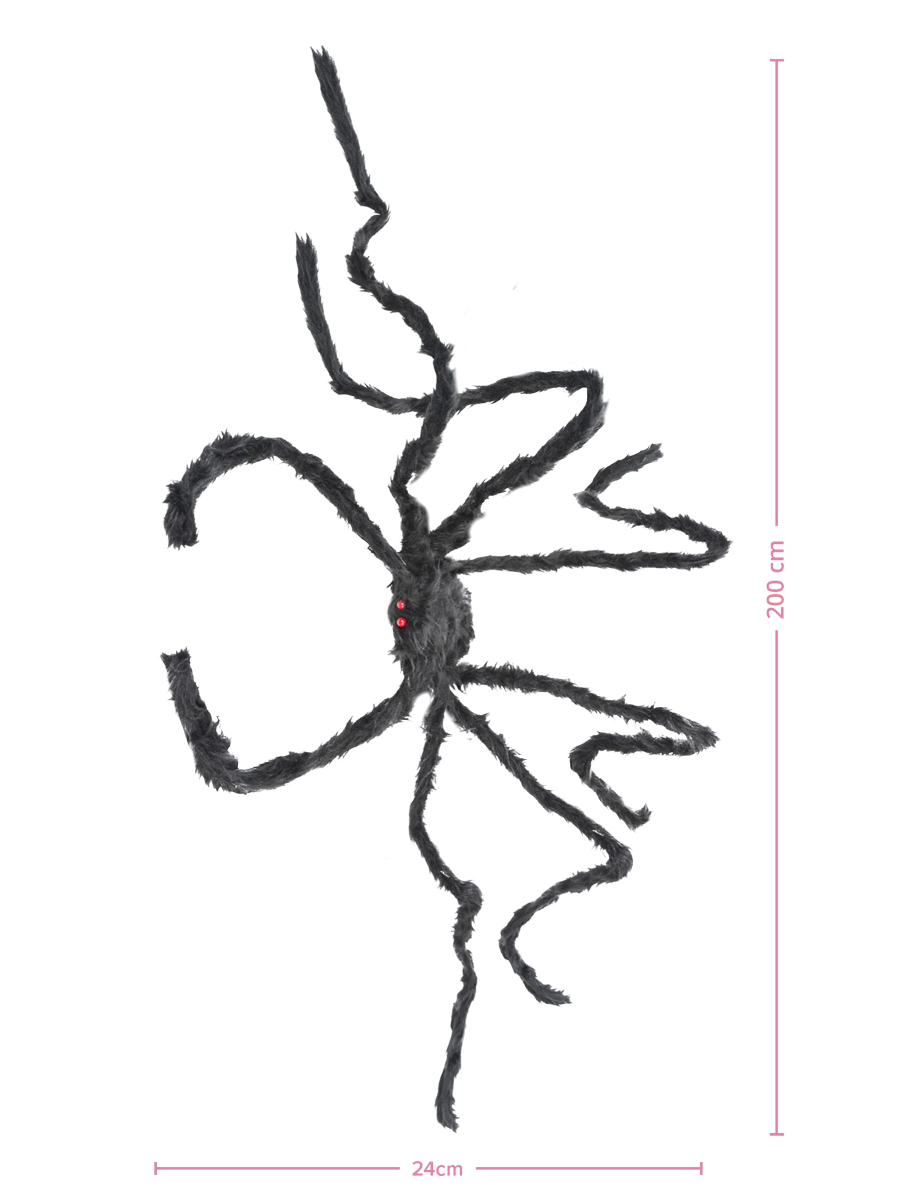 Dimensions de l'araignée géante pour Halloween