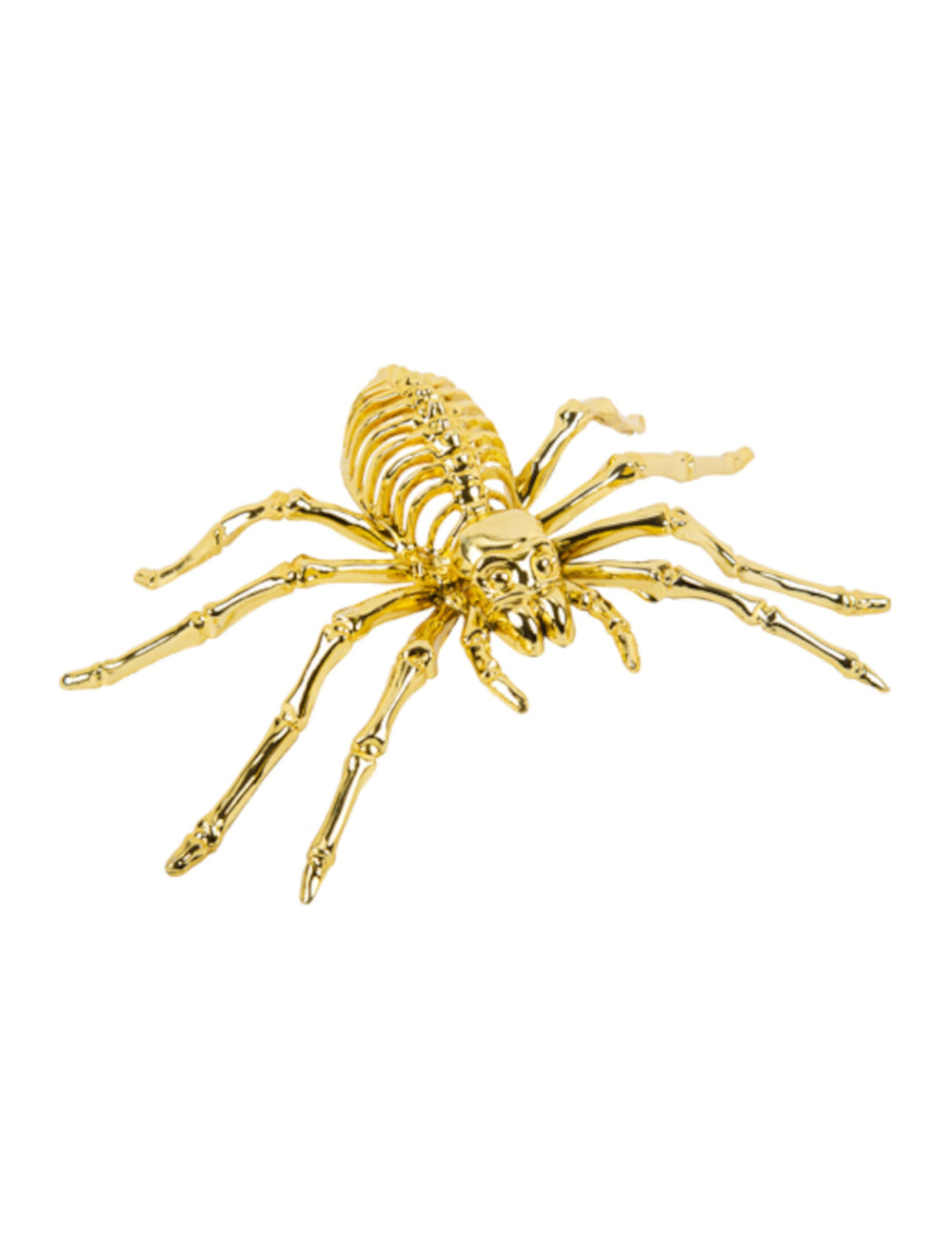Araignée squelette pour Halloween dorée
