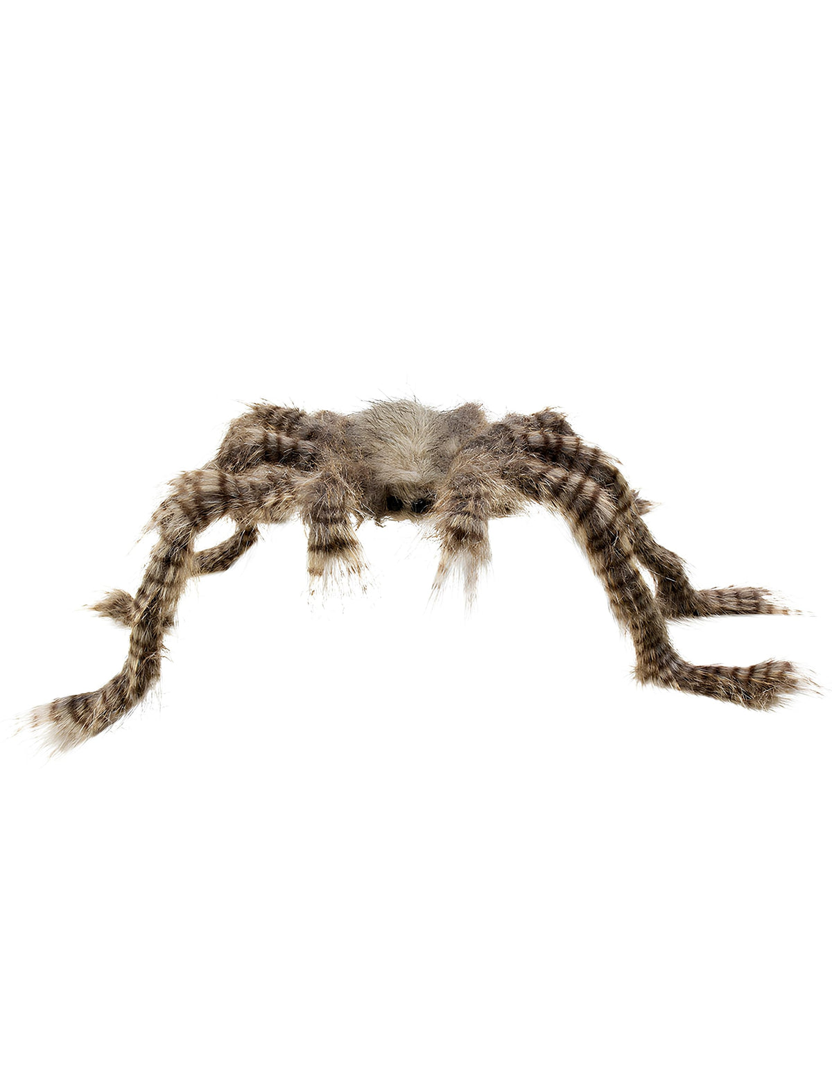 Araignée velue pour décoration marron et grise