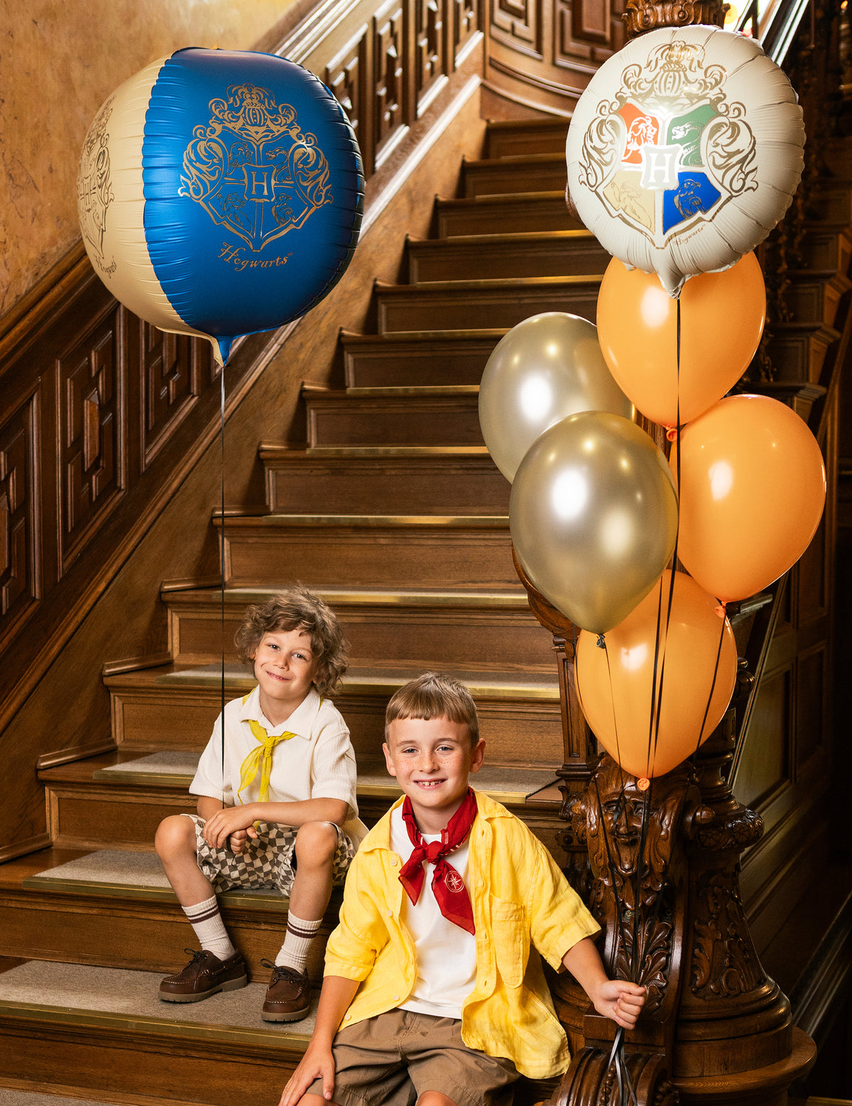 Harry Potter™ balon od aluminija sfera Grb Hogwartsa 50 cm