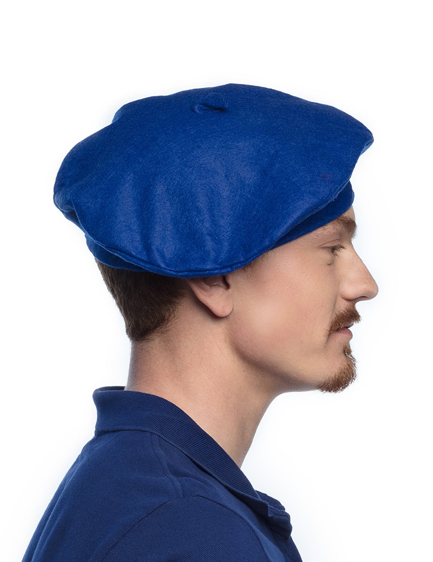 Baskija Blue Breet odrasla osoba