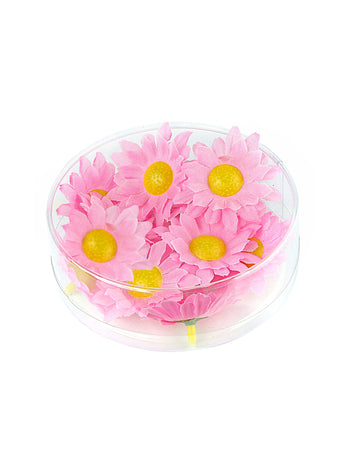 Kutija od 20 svijetlo ružičastih cvjetova Daisy