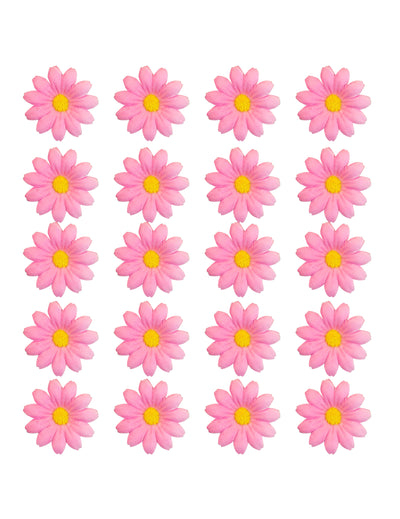 Kutija od 20 svijetlo ružičastih cvjetova Daisy