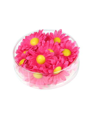 Kutija od 20 ružičastih cvjetova Daisy