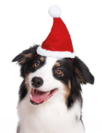 Božićna kapa za kućne ljubimce