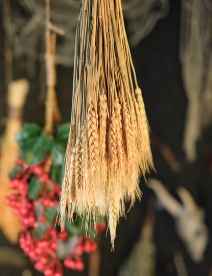 Buket prirodnih ušiju pšenice 60 cm