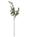 Branche d'eucalyptus décoration naturelle verte