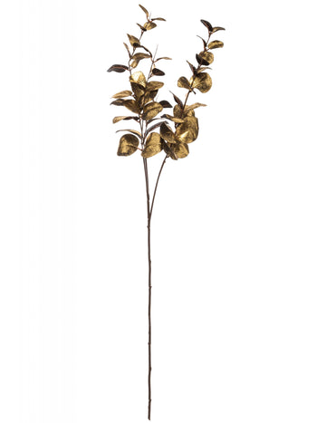 Zlatna eukaliptusova grana 76 cm 