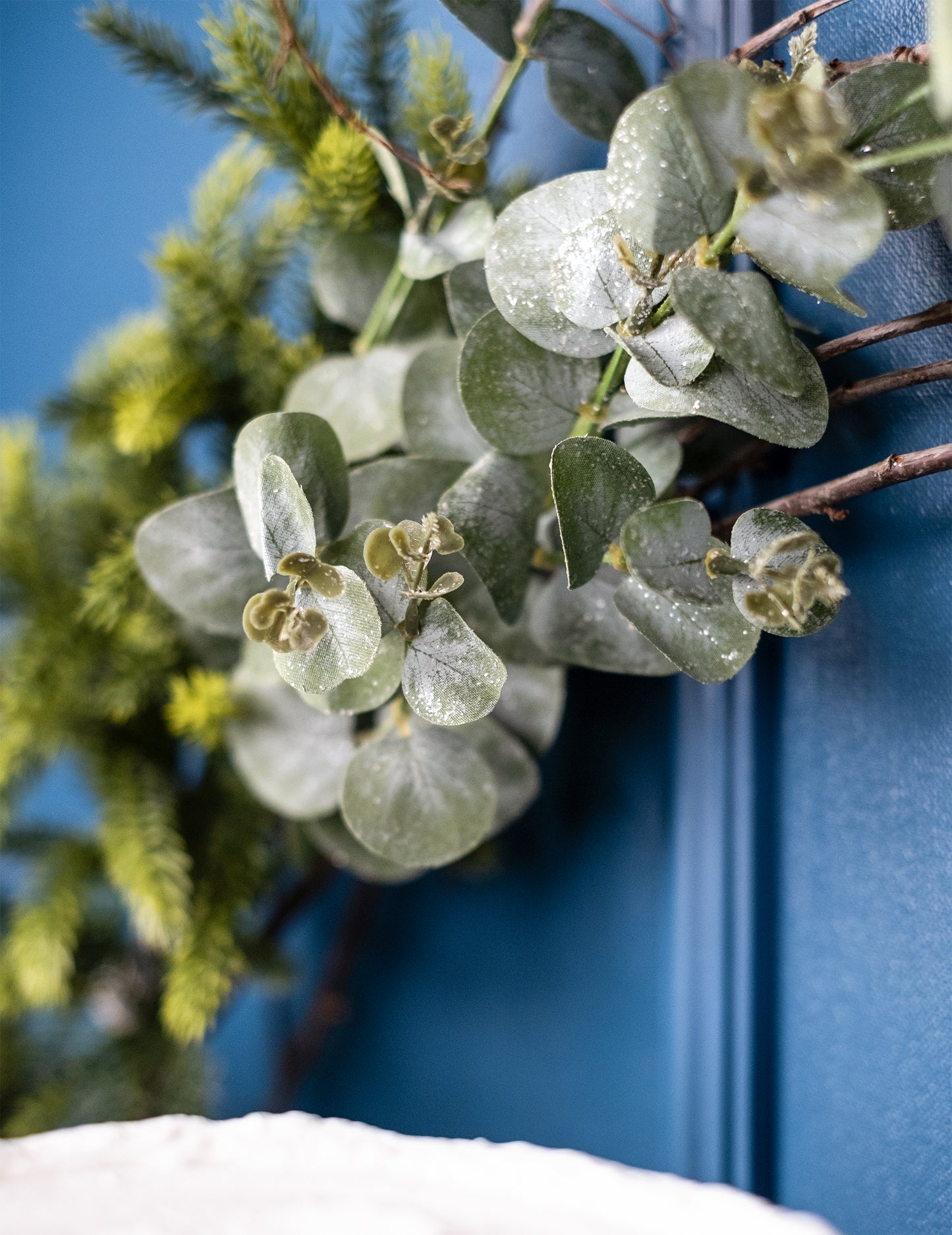 Podružnica eukaliptusa 98 cm