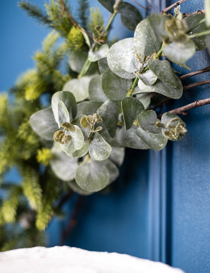 Podružnica eukaliptusa 98 cm