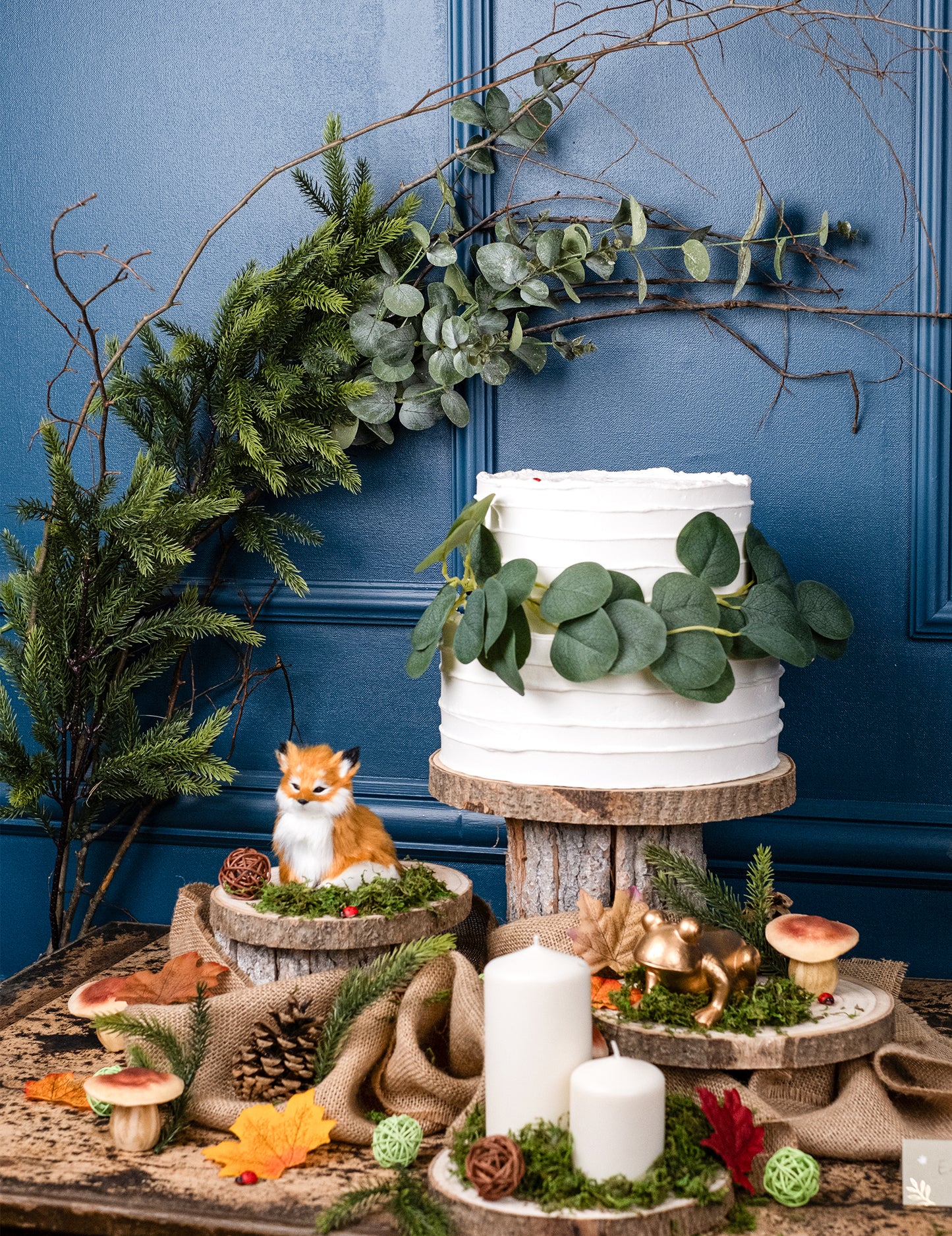 Podružnica eukaliptusa 98 cm