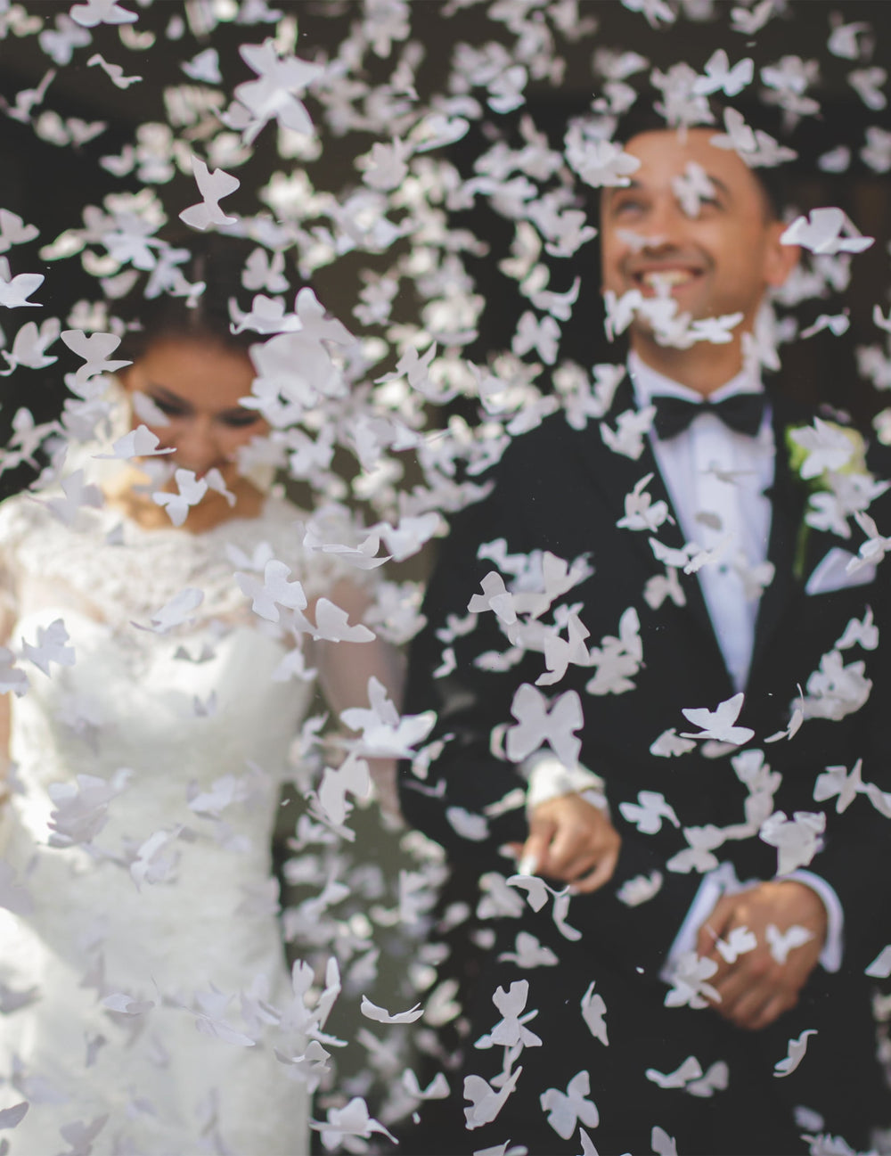 Mise en situation lors d'un mariage du canon à confettis papillons blancs