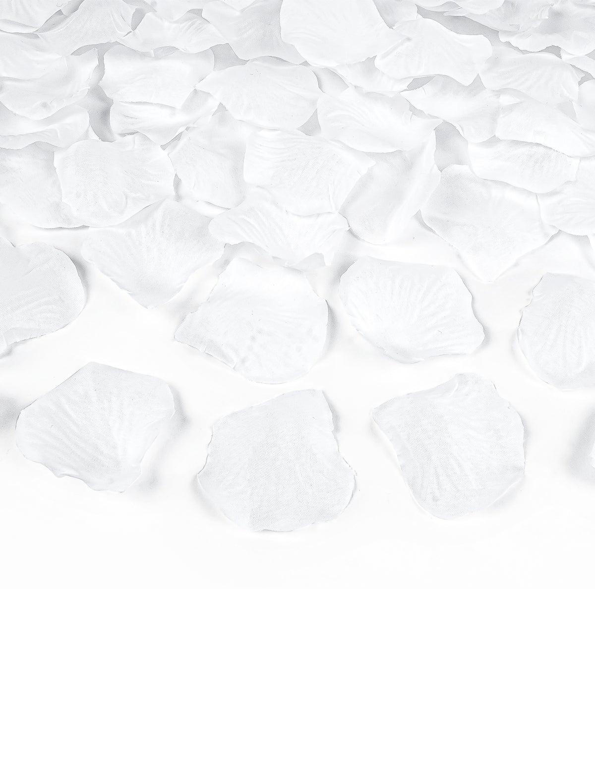 Détail des pétales du canon à confettis pétales blanc