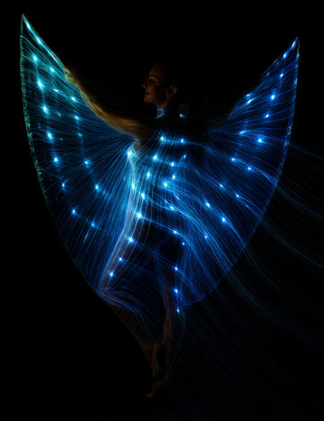 Kapska perunika sa stabljikama i svjetlom 140 cm