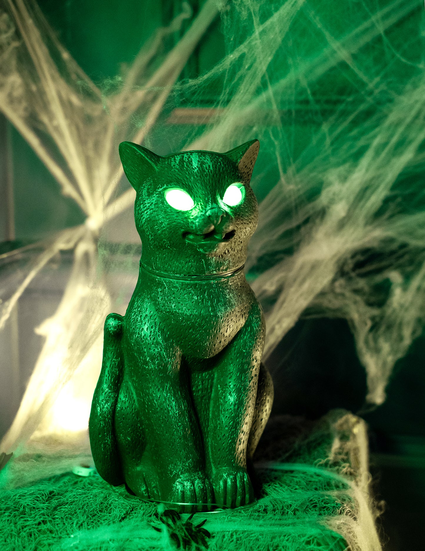 Crna mačka sjajna, zvučna i svijetla oči 30 cm