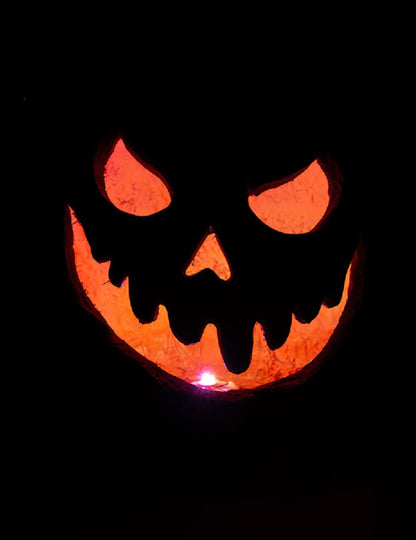 Svijetla jeziva bundeva 33 cm