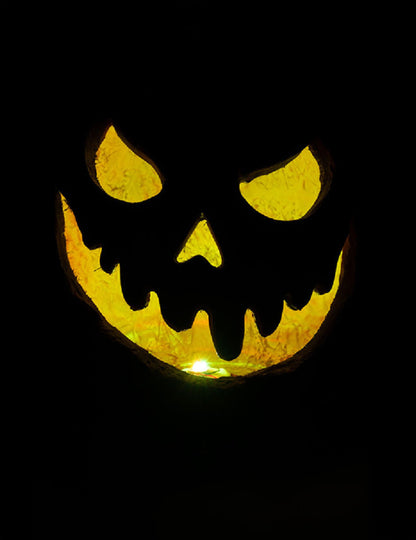 Svijetla jeziva bundeva 33 cm