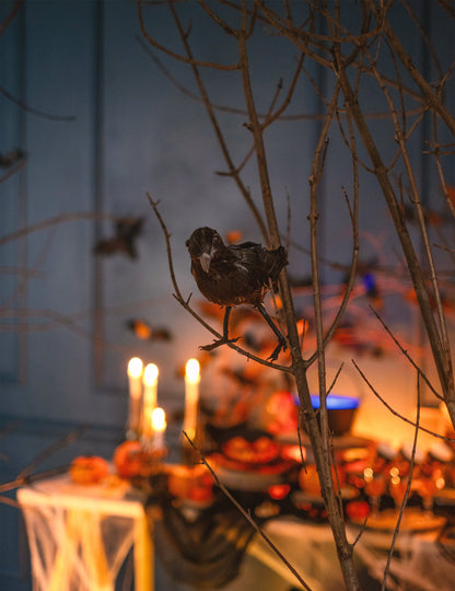 Crni pernati gavran 20 cm