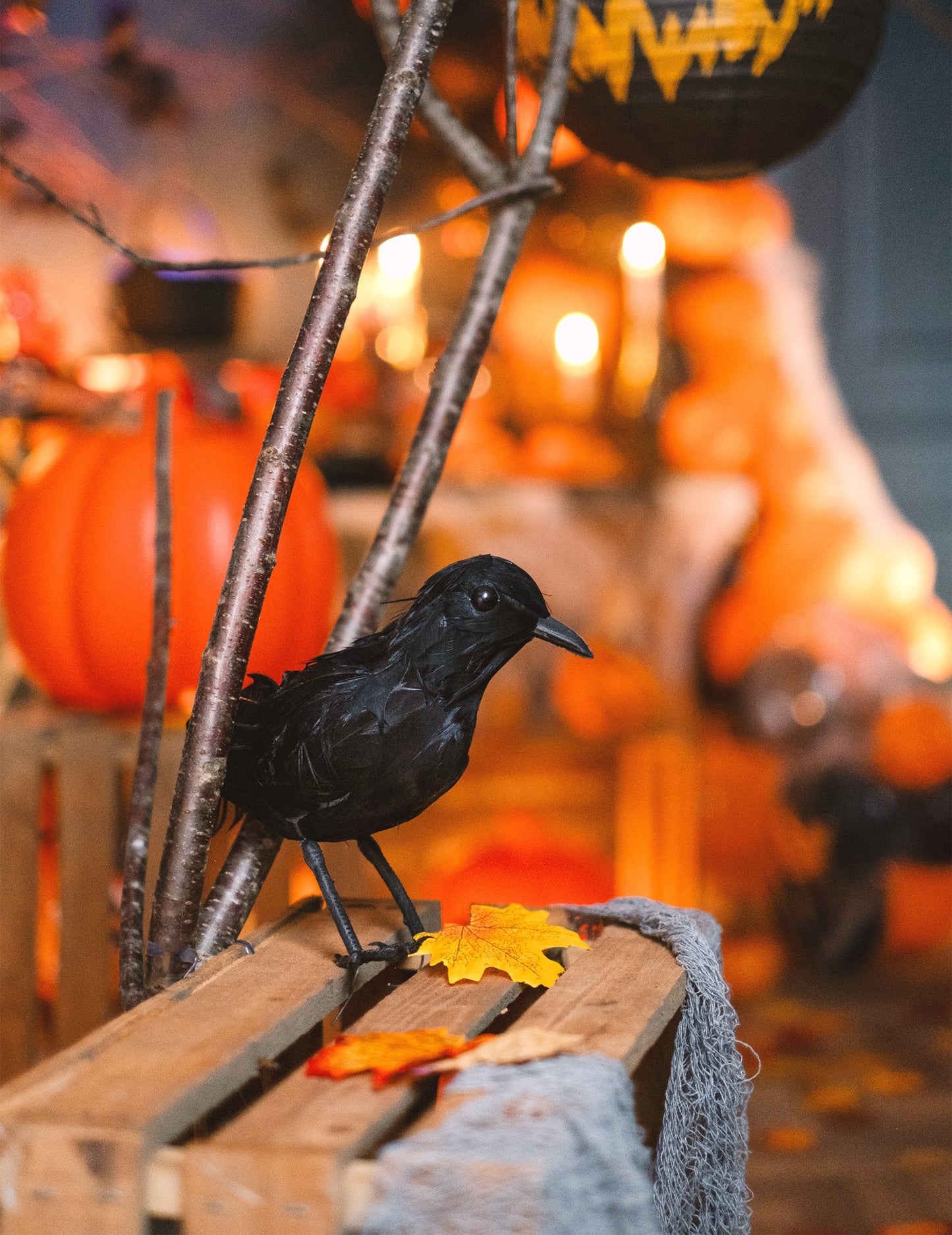 Crni pernati gavran 20 cm