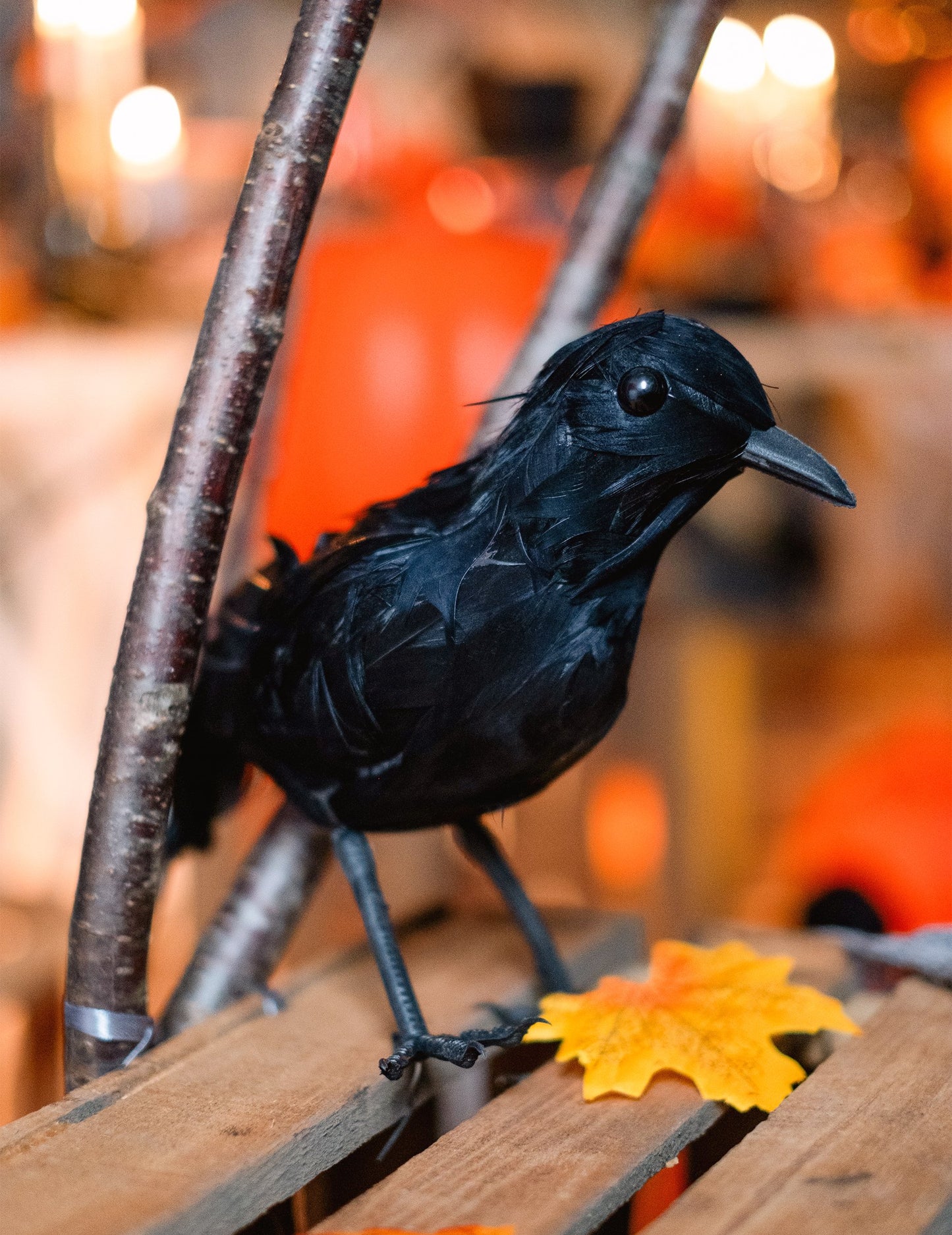 Crni pernati gavran 20 cm