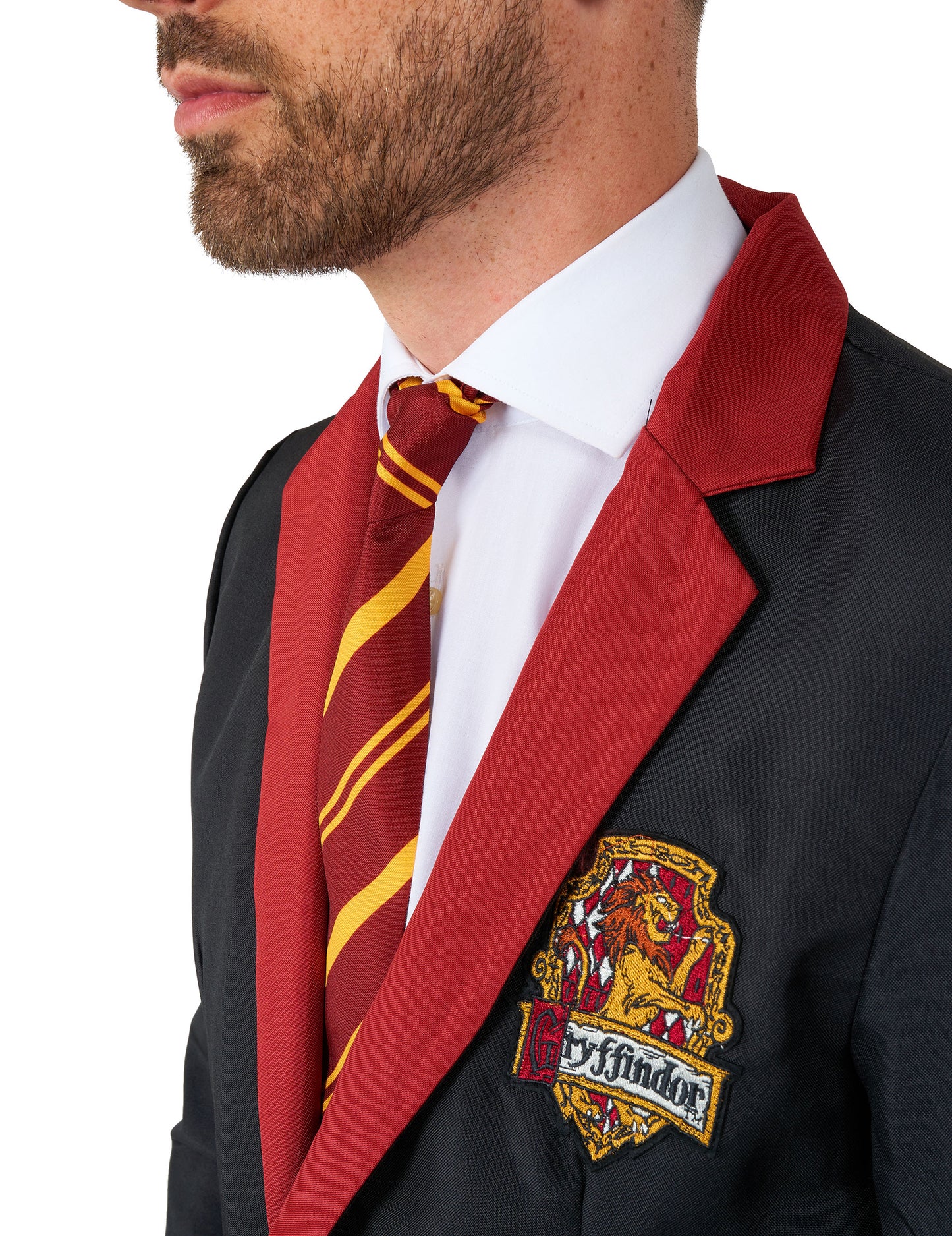Kostim gospodin Gryffindor za odrasle