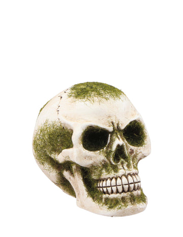 Lubanja s pjenastom smolom, 7 cm