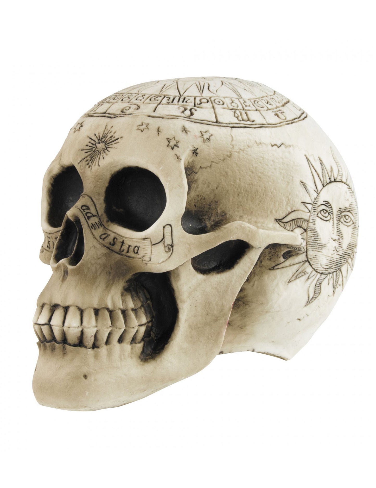 Skeleton lubanja s pentagramom 18 x 12 x 15 cm