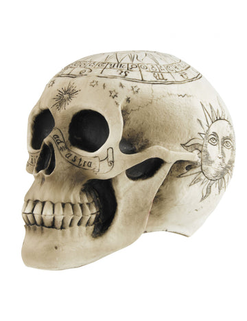 Skeleton lubanja s pentagramom 18 x 12 x 15 cm