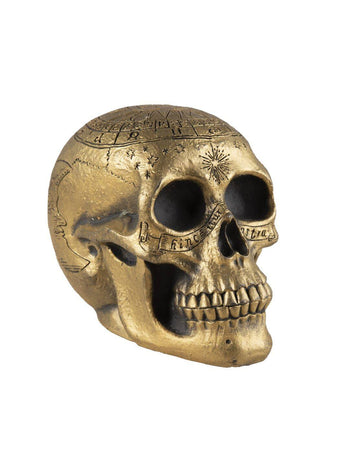 Skeleton lubanja sa zlatnim pentagramom