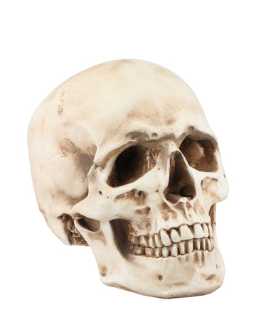 Lubanja od smole 21 cm