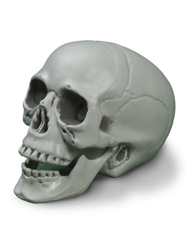 Zastrašujuća lubanja u kosti