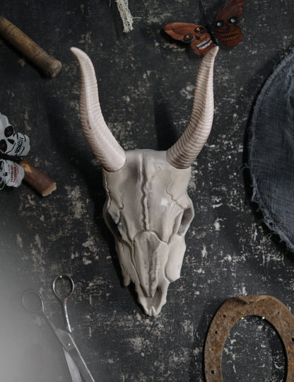 14 x 40 cm buffalo glava lubanja