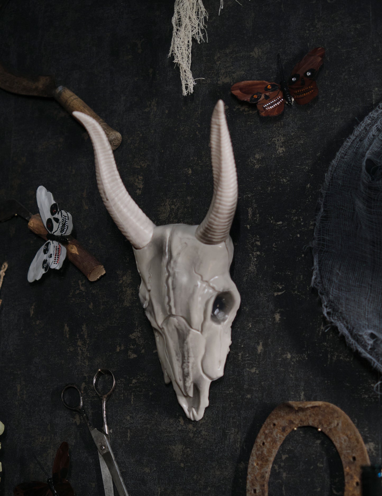 14 x 40 cm buffalo glava lubanja