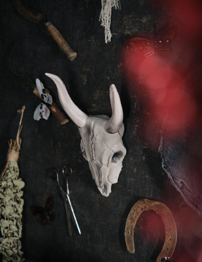 14 x 40 cm buffalo glava lubanja