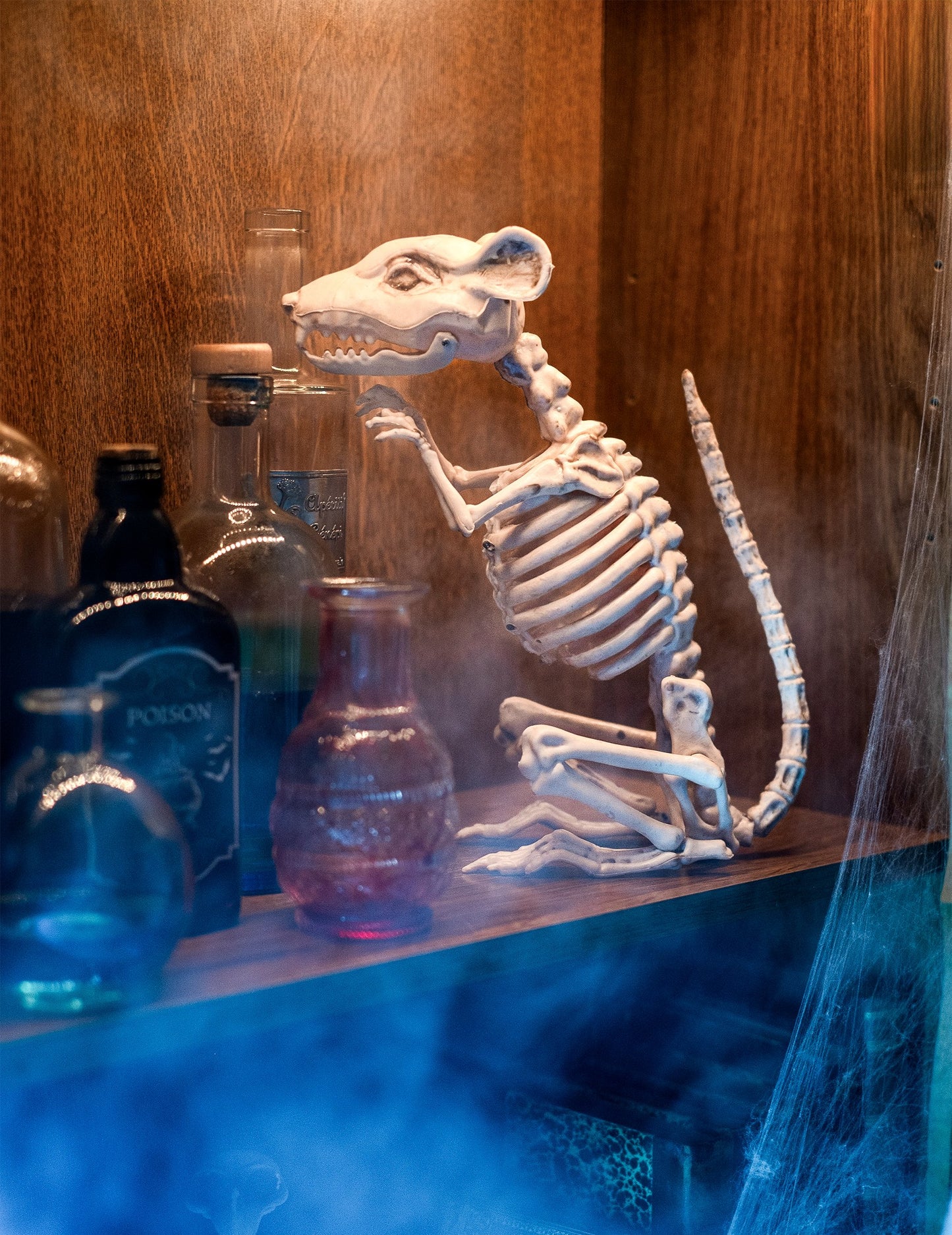 Ukras kostura za Halloween